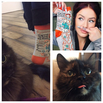 Sock Feature:  "My cat is as cool AF"