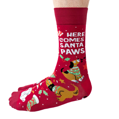 Santa Paws men’s socks – festive holiday socks with dogs in Santa hats